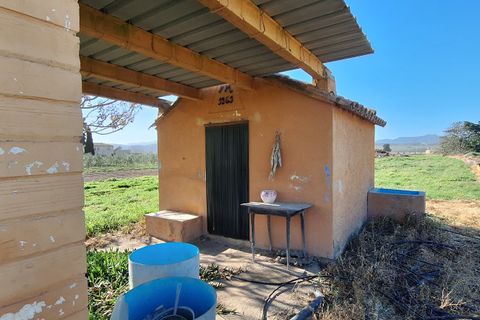 Finca i Ginestar, Tarragona, Ginestar - € 17.000 | Ref: CC842 - foto 4